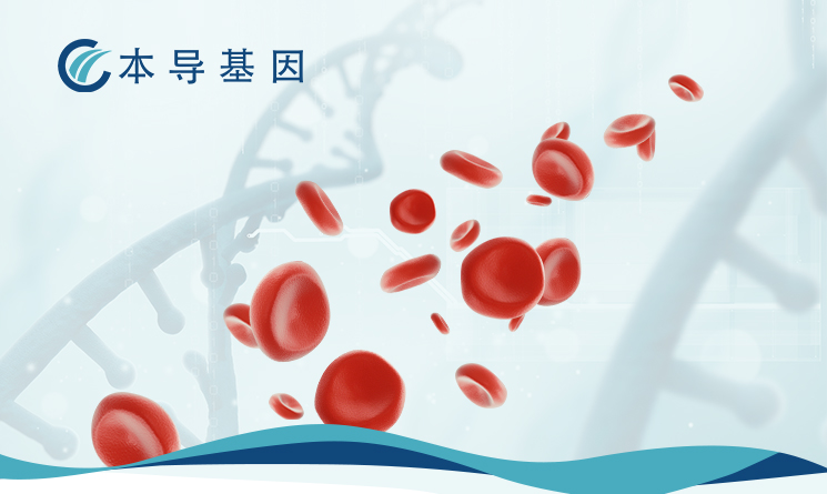 The first domestic case of "Treatment of Double β0 Severe Thalassemia with Lentiviral Gene Modificat