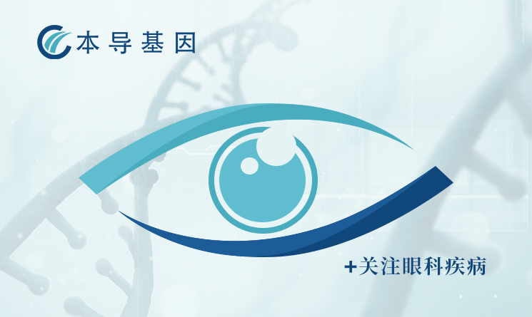 Breakthrough in gene therapy for age-related macular degeneration