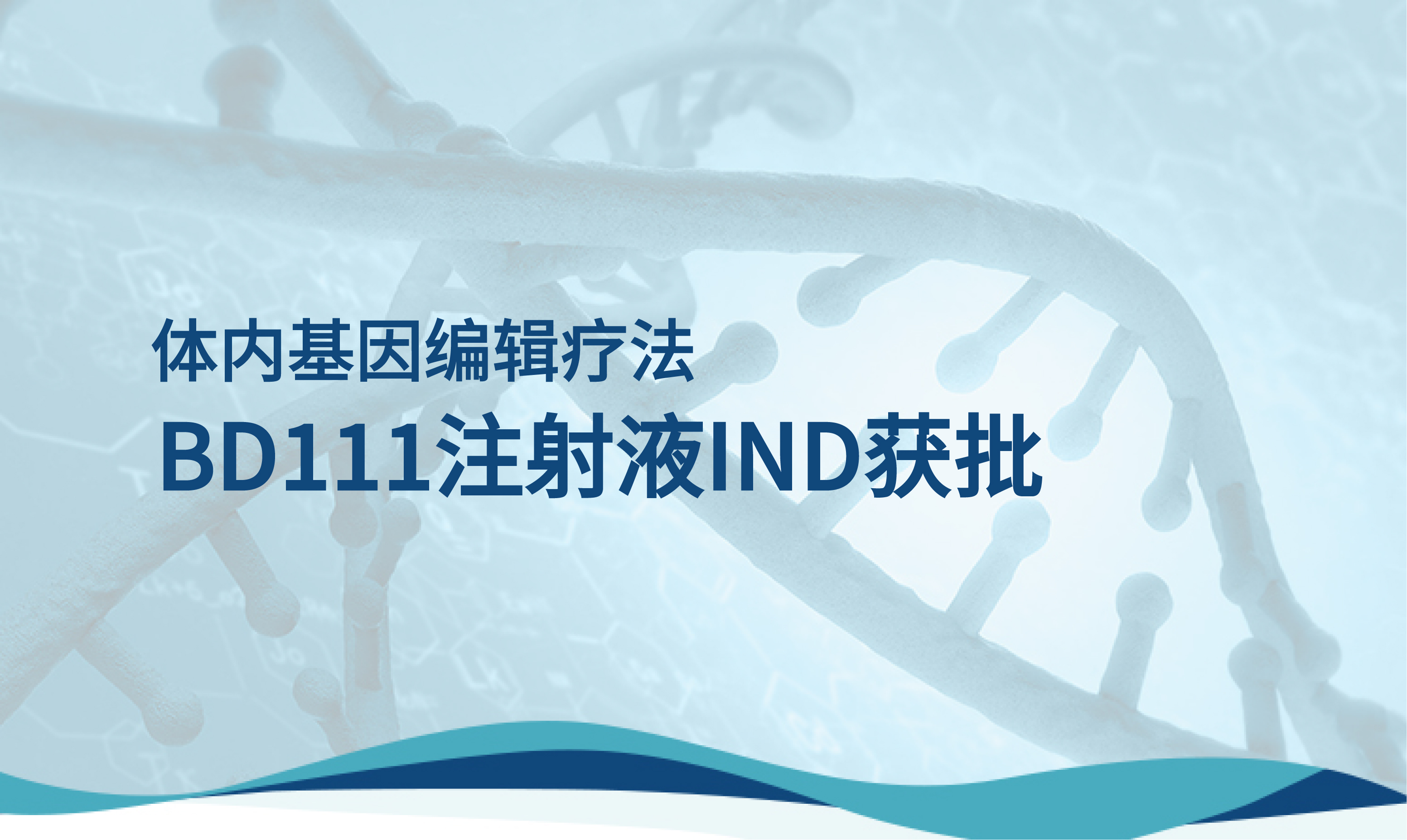 全球首款 | 本导基因VLP体内基因编辑疗法BD111注射液IND获批